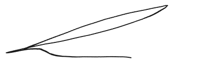 Client Signature